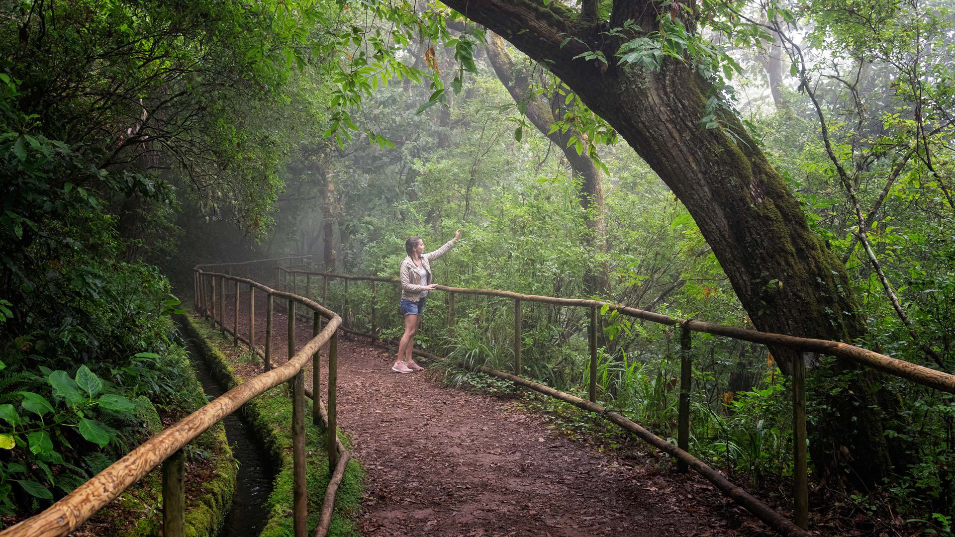 Madeira
